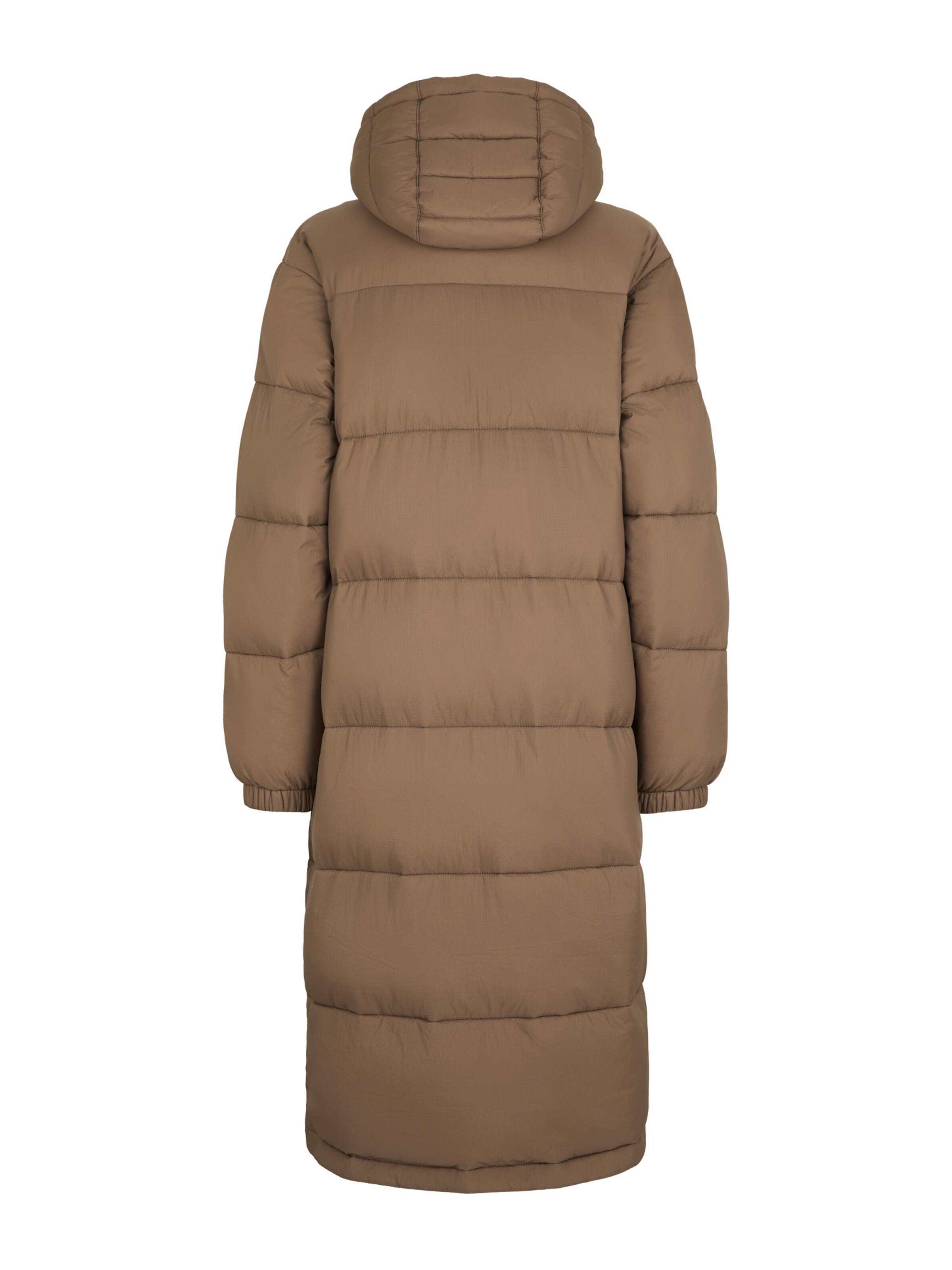 DICKIES Zimski plašč 'ALATNA ' | rjava barva