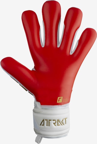 REUSCH Torwarthandschuhe 'Attrakt Freegel Silver' in Rot