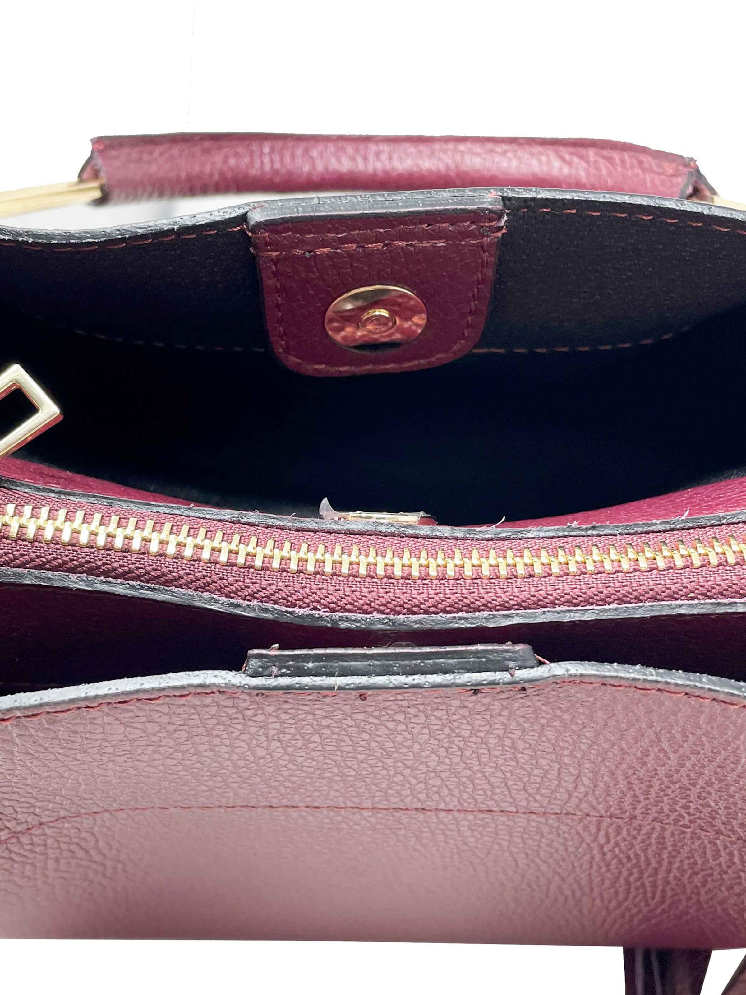 CHICCA BORSE Handbag in Red