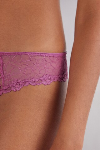 INTIMISSIMI Slip in Lila