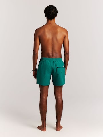 PROTEST Swimming shorts 'PRTAgden' in Green