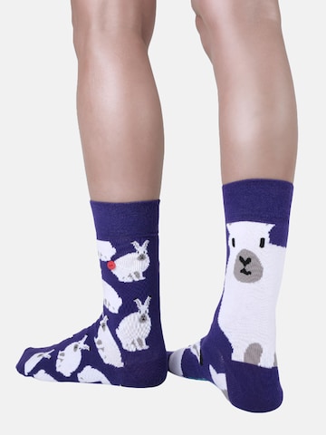 Chaussettes ' GRUMBLE IN THE JUNGLE ' UNABUX en violet