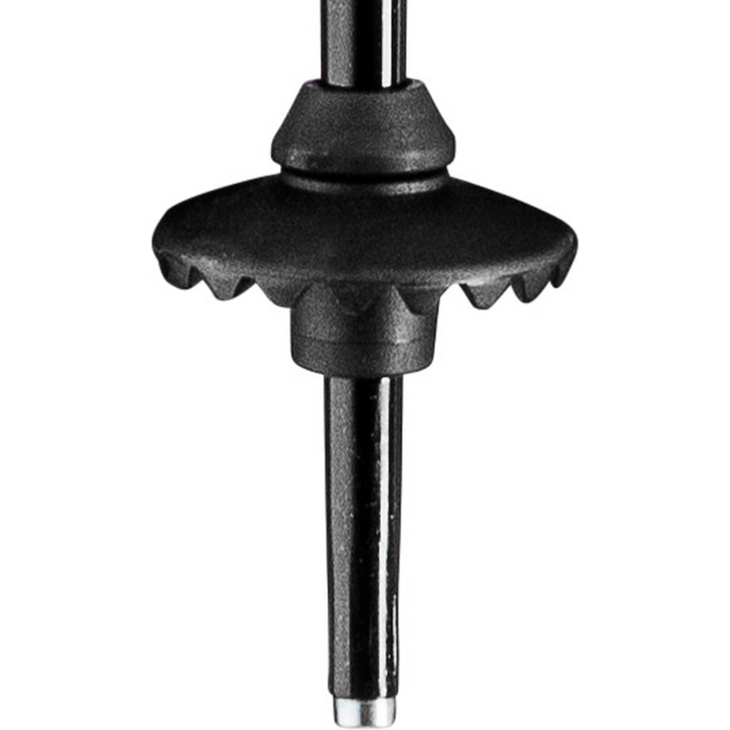 LEKI Stick 'Primacy 23/24' in Mixed colors