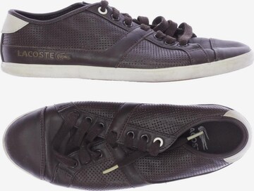 LACOSTE Sneakers & Trainers in 39 in Brown: front