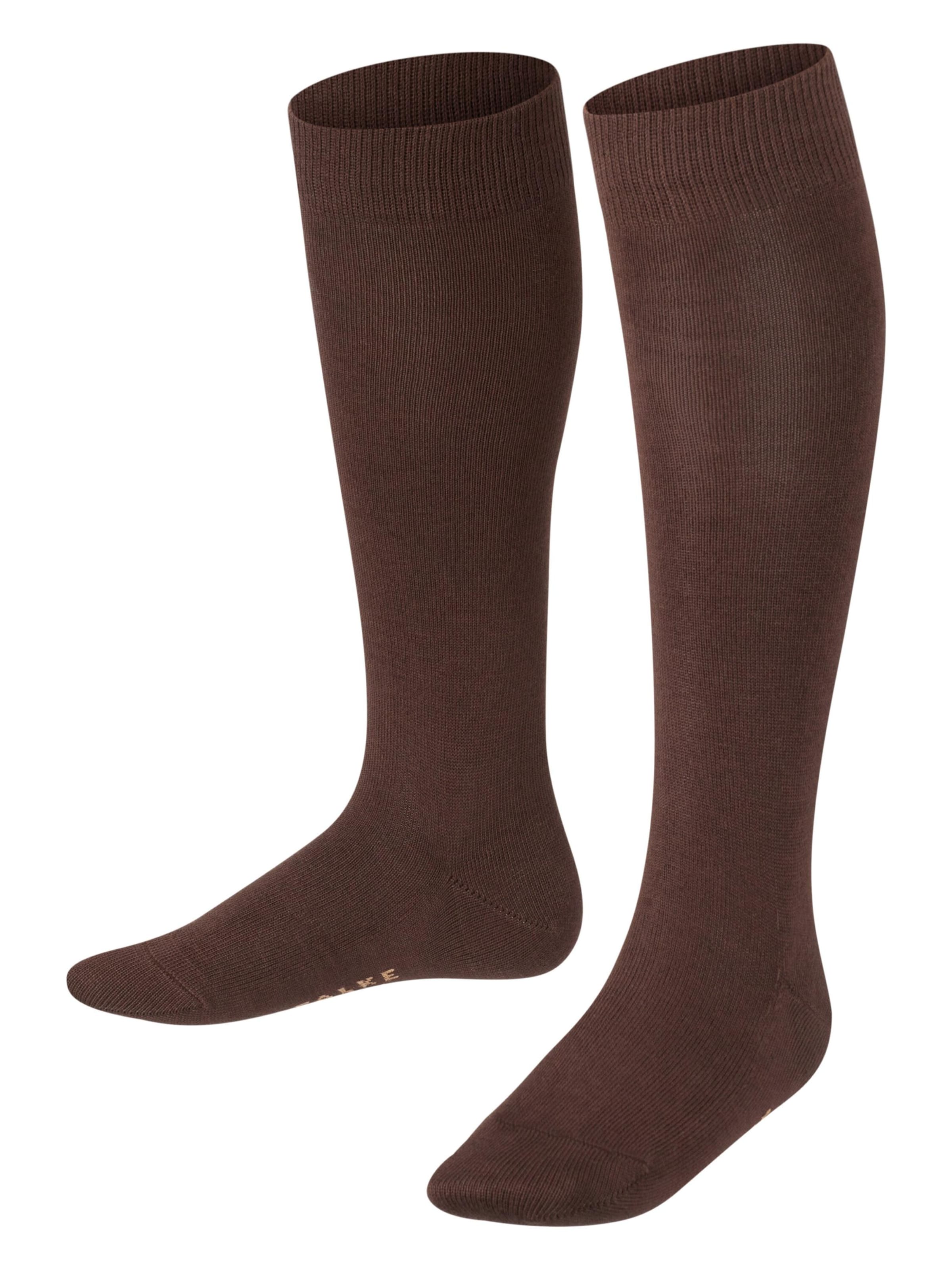 FALKE Socks 'Family' in Brown: front