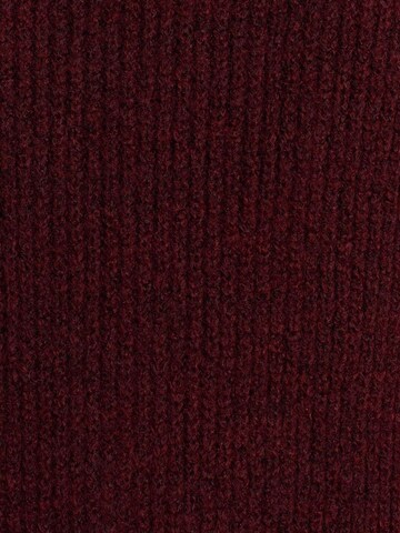 DilvinPulover 'Pullover' - crvena boja