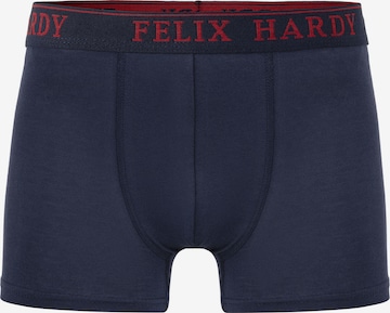 Boxer di Felix Hardy in colori misti