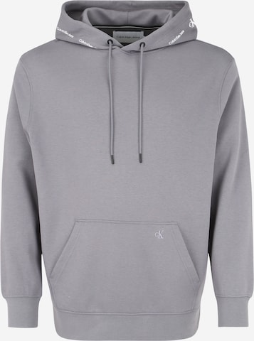 Calvin Klein Jeans Plus Sweatshirt in Grey: front