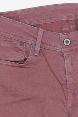 Pepe Jeans Shorts S in Pink