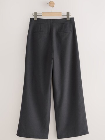 Largi Pantaloni de la Next pe gri