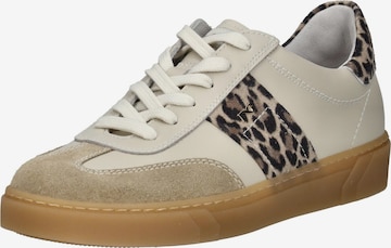 Nero Giardini Sneaker in Braun: Vorderseite