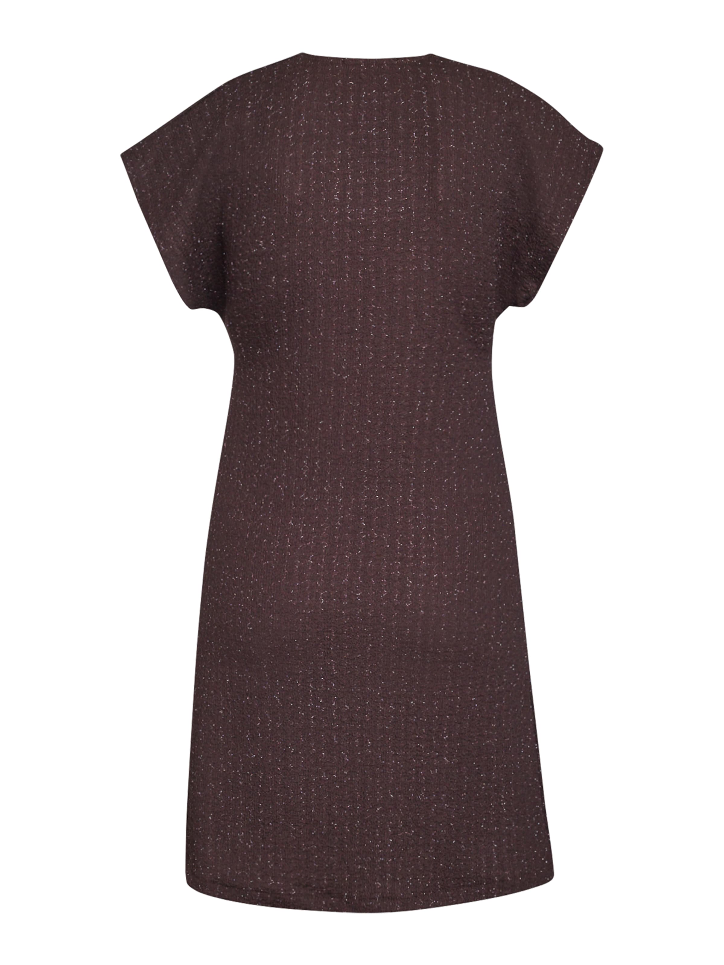 Robe-chemise 'GEVELA' SISTERS POINT en marron
