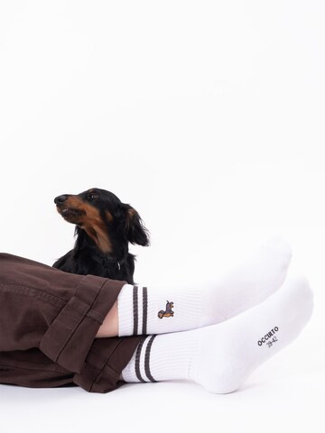 Occulto Sports socks 'Rio' in Brown