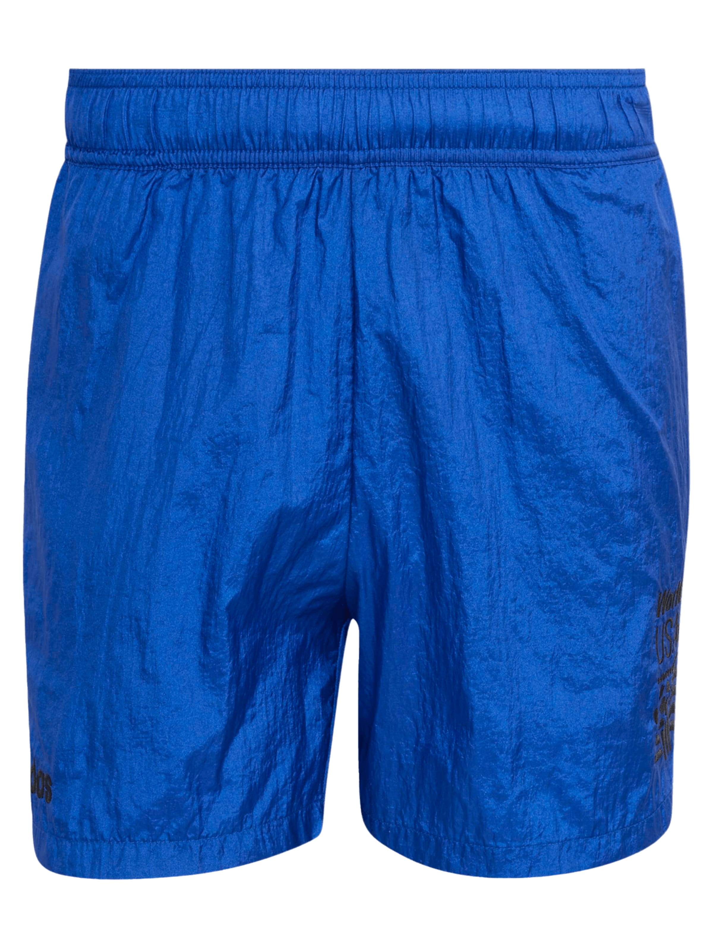 ADIDAS ORIGINALS Regular Workout Pants in Blue: front