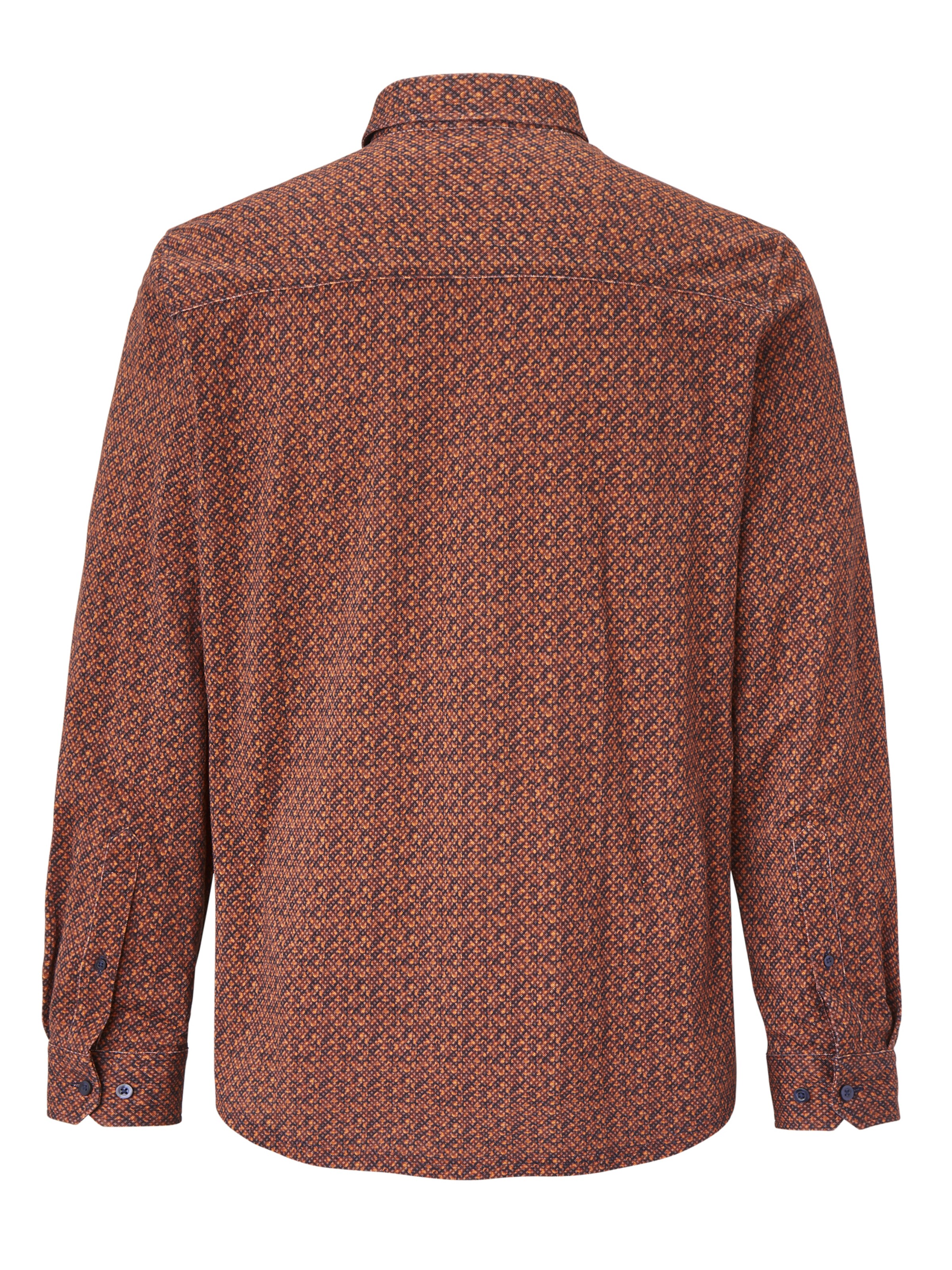 PADDOCKS Regular fit Button Up Shirt in Orange