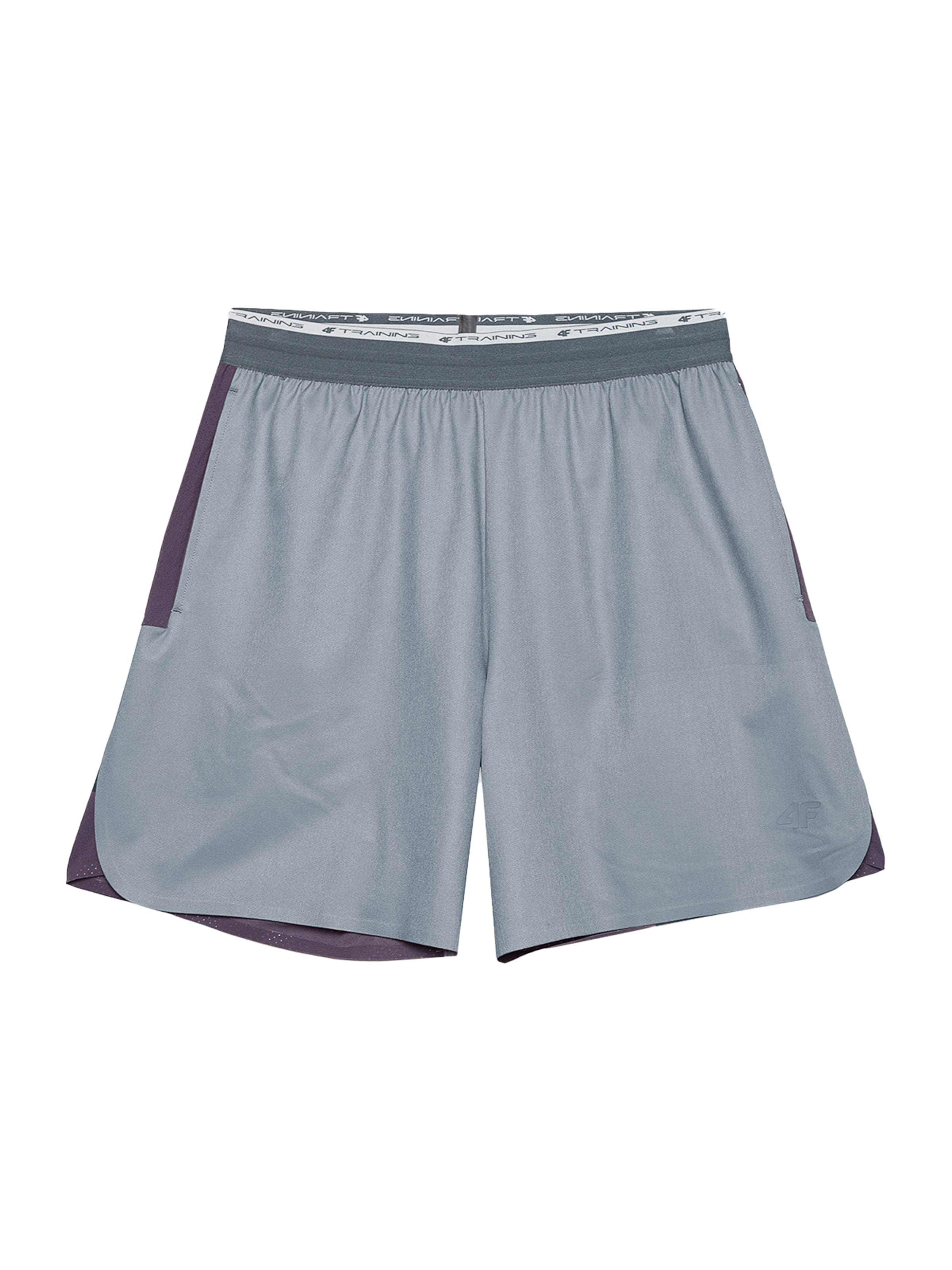 4F regular Παντελόνι φόρμας σε γκρι: μπροστά