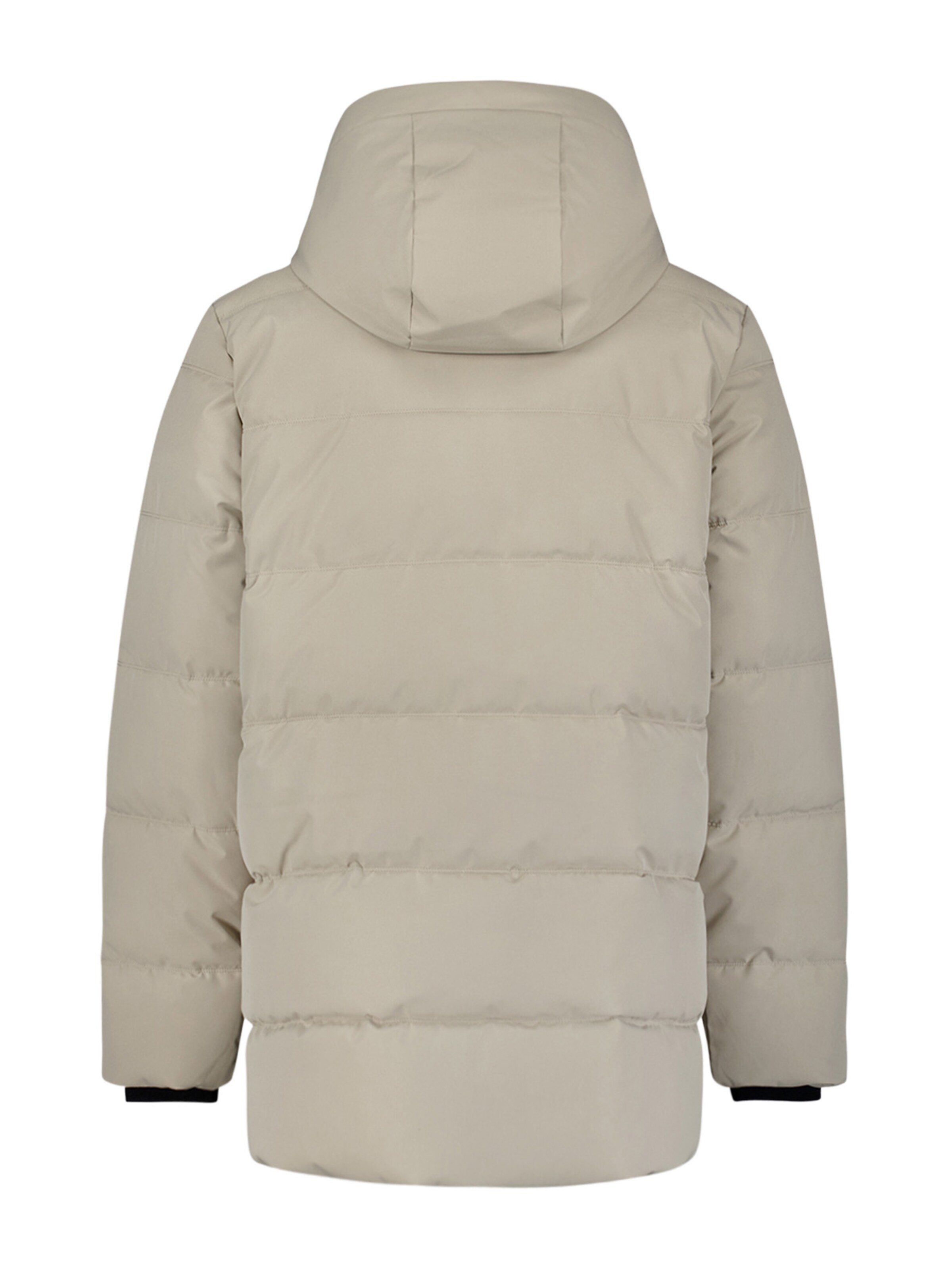 No Excess Winter jacket 'SCOTT' in Grey