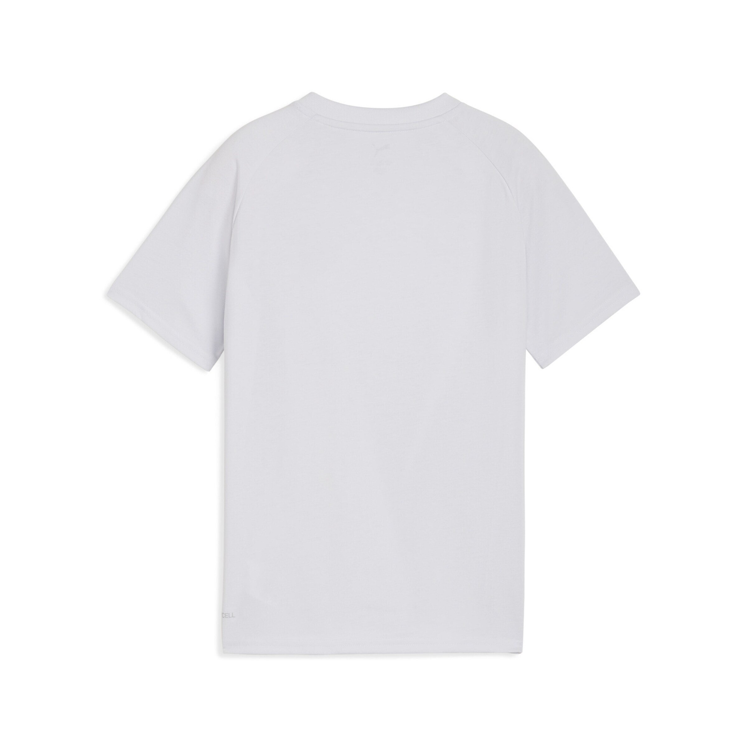 PUMA Performance shirt 'Borussia Dortmund Pumatech' in Grey