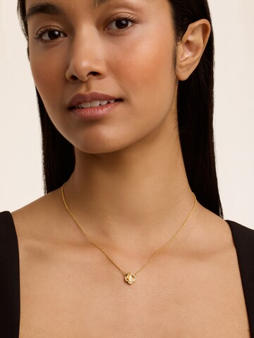 Ted Baker Necklace 'FLORITA' in Gold: front