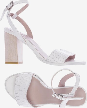 Zign Sandals & High-Heeled Sandals in 36 in White: front