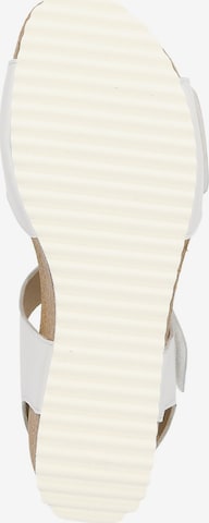 SIOUX Sandals in White