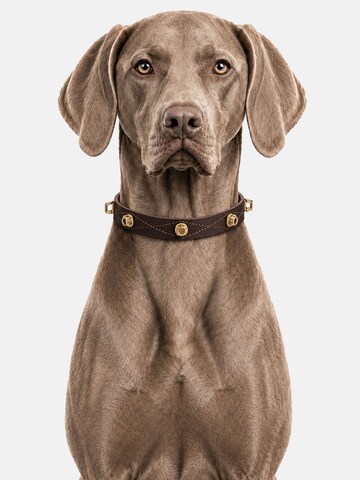 Unleash Cph Halsband in Brown
