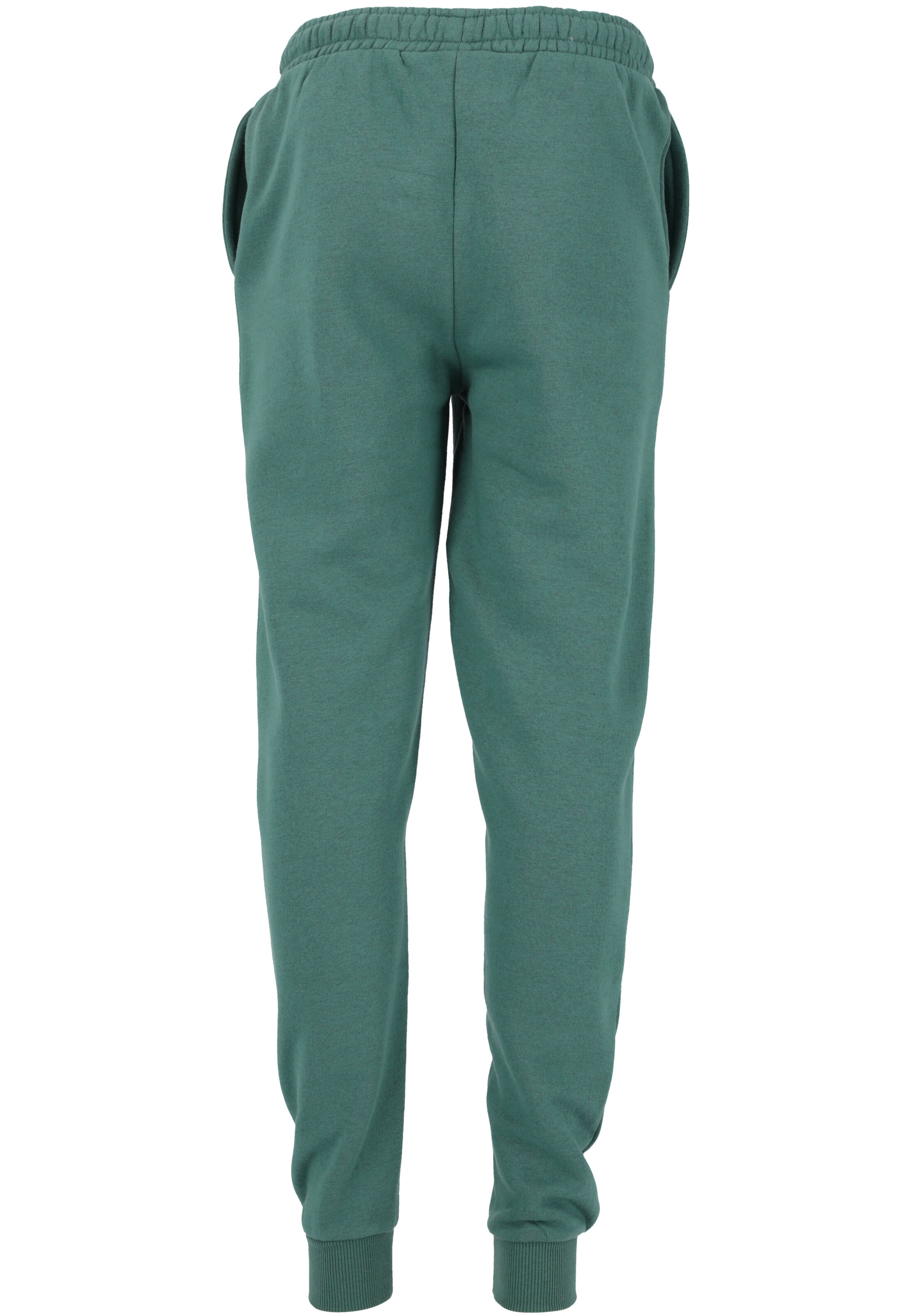 ENDURANCE Regular Sportbroek 'Glakrum' in Groen