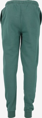 ENDURANCE Regular Workout Pants 'Glakrum' in Green