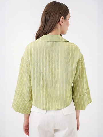 Bigdart Bluse in Grün