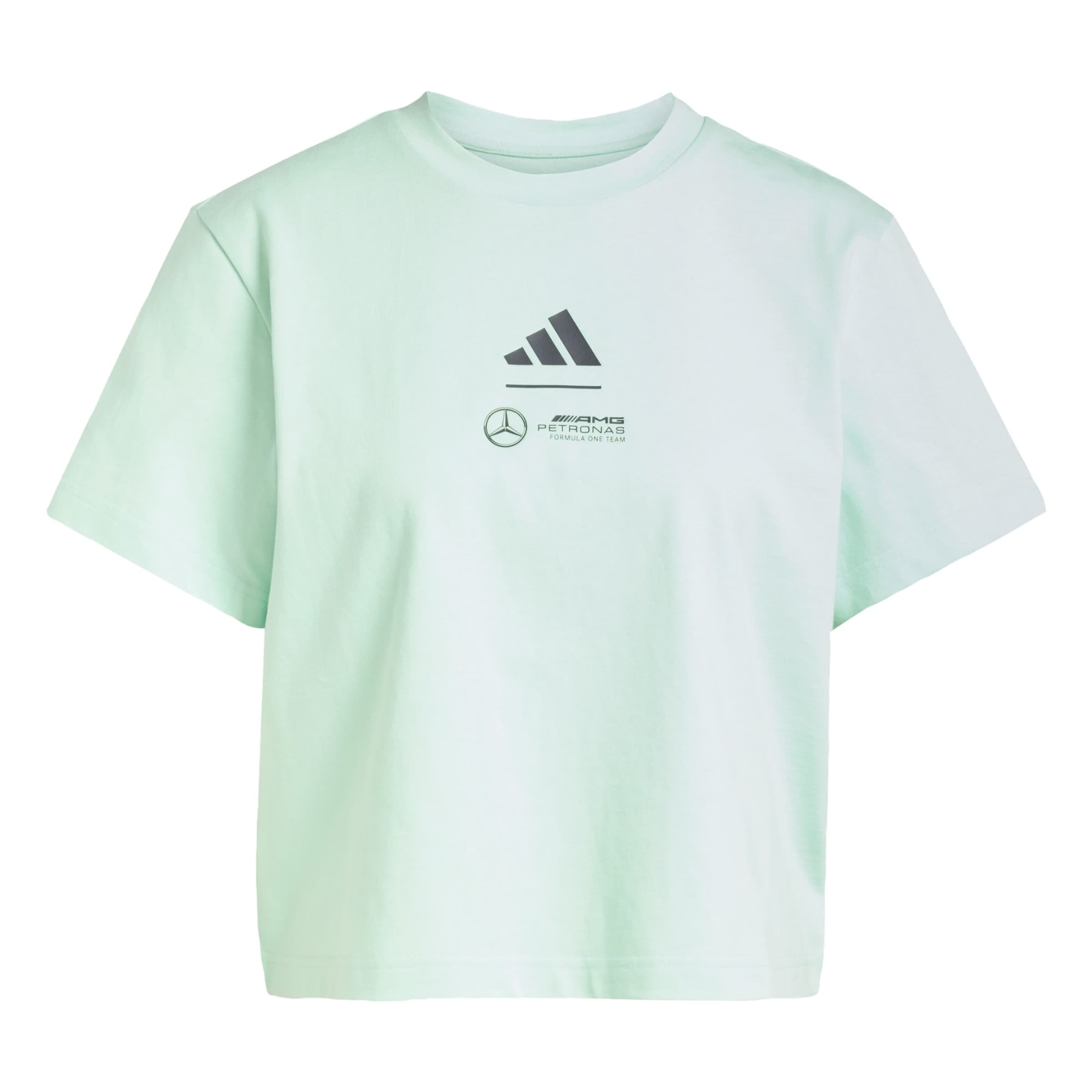 ADIDAS PERFORMANCE Funktionsshirt 'Mercedes - AMG Petronas Formula One Team' in Grün: Vorderseite