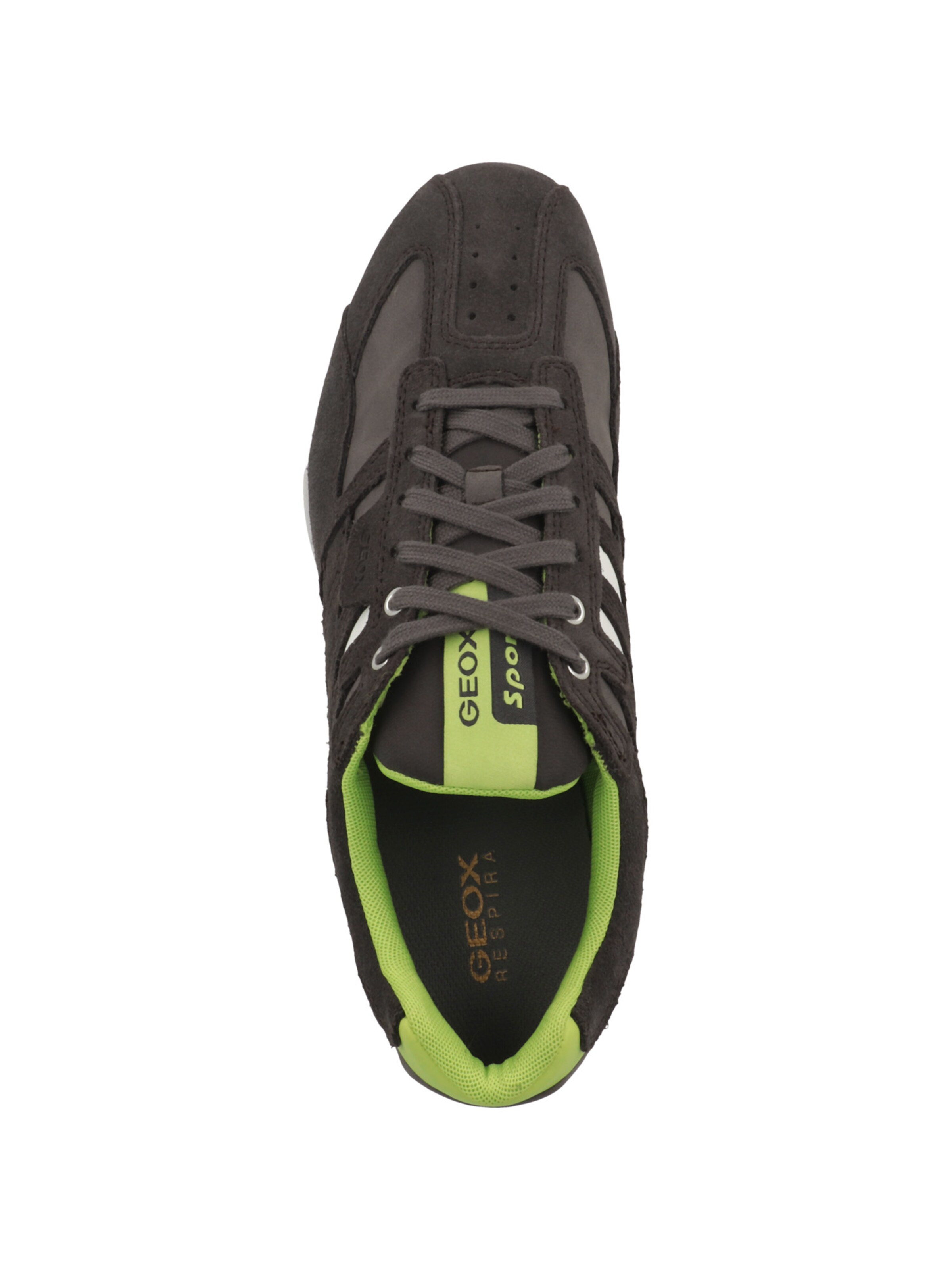 Sneaker bassa di GEOX in grigio