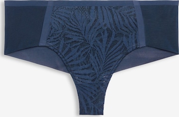 ESPRIT Panty in Blau: predná strana