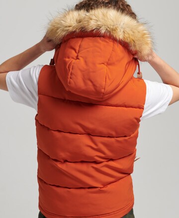 Superdry Vest in Orange