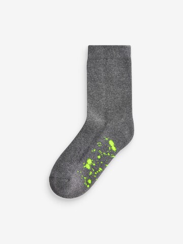 Next Socks in Grey
