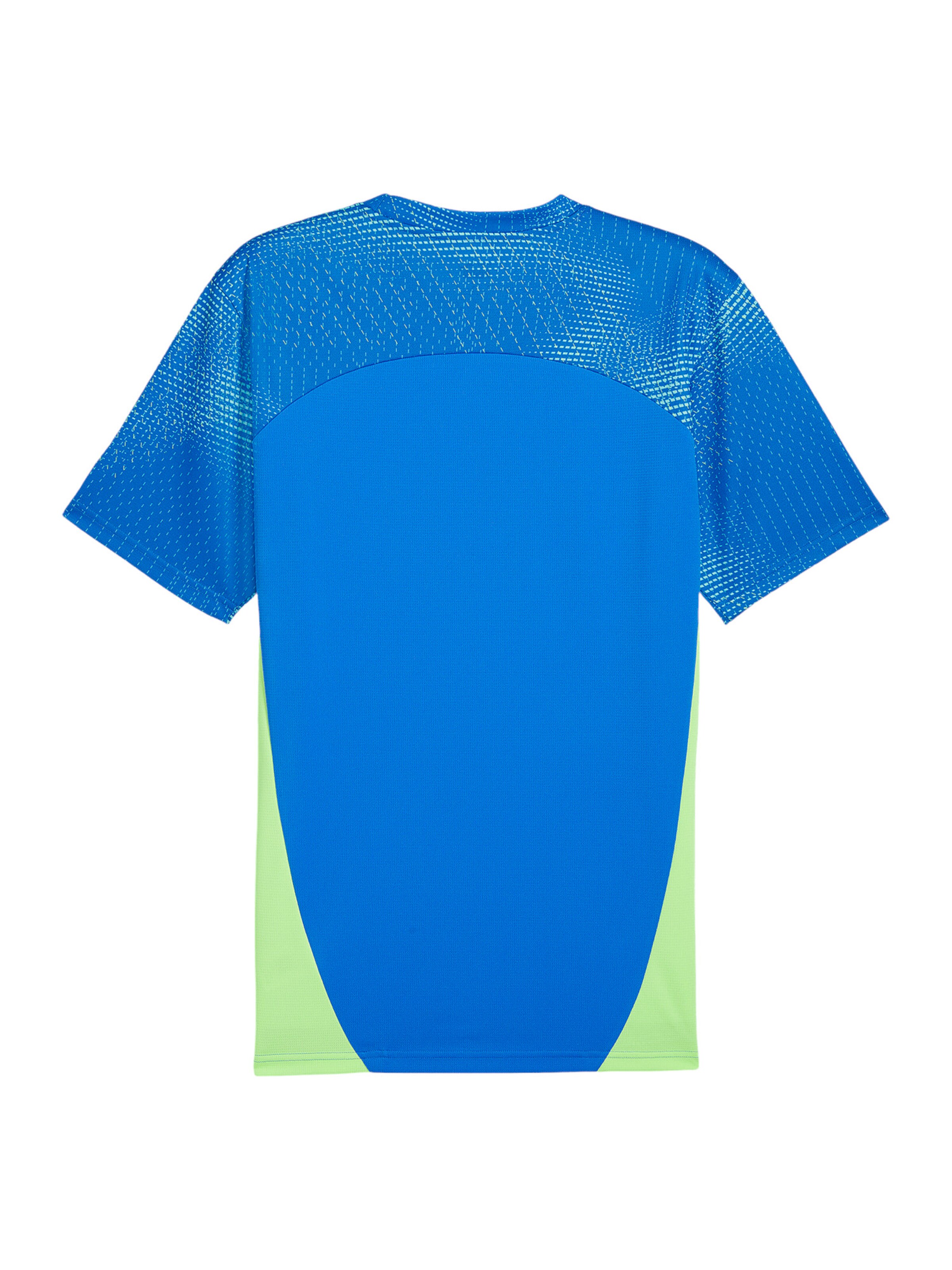 PUMA Trikot 'IndividualFinal' in Blau