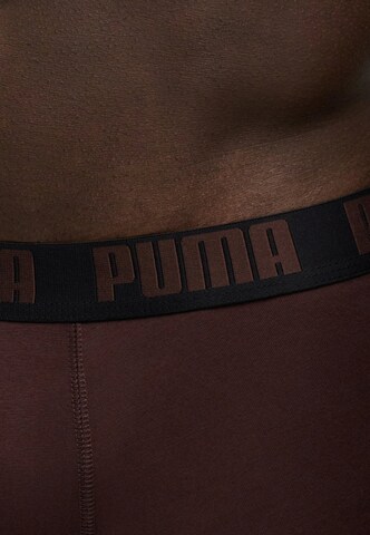 brūns PUMA Bokseršorti 'EVERYDAY'