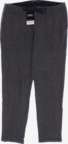 DRYKORN Pants in 36 in Grey: front