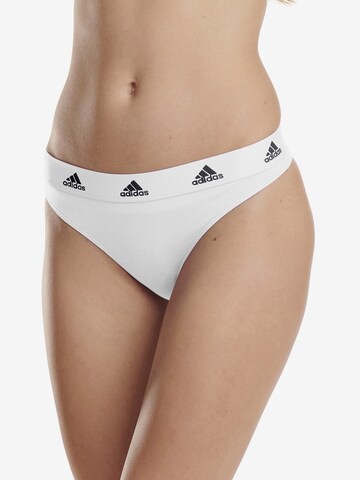 Sous-vêtements de sport ' THONG ' ADIDAS SPORTSWEAR en gris