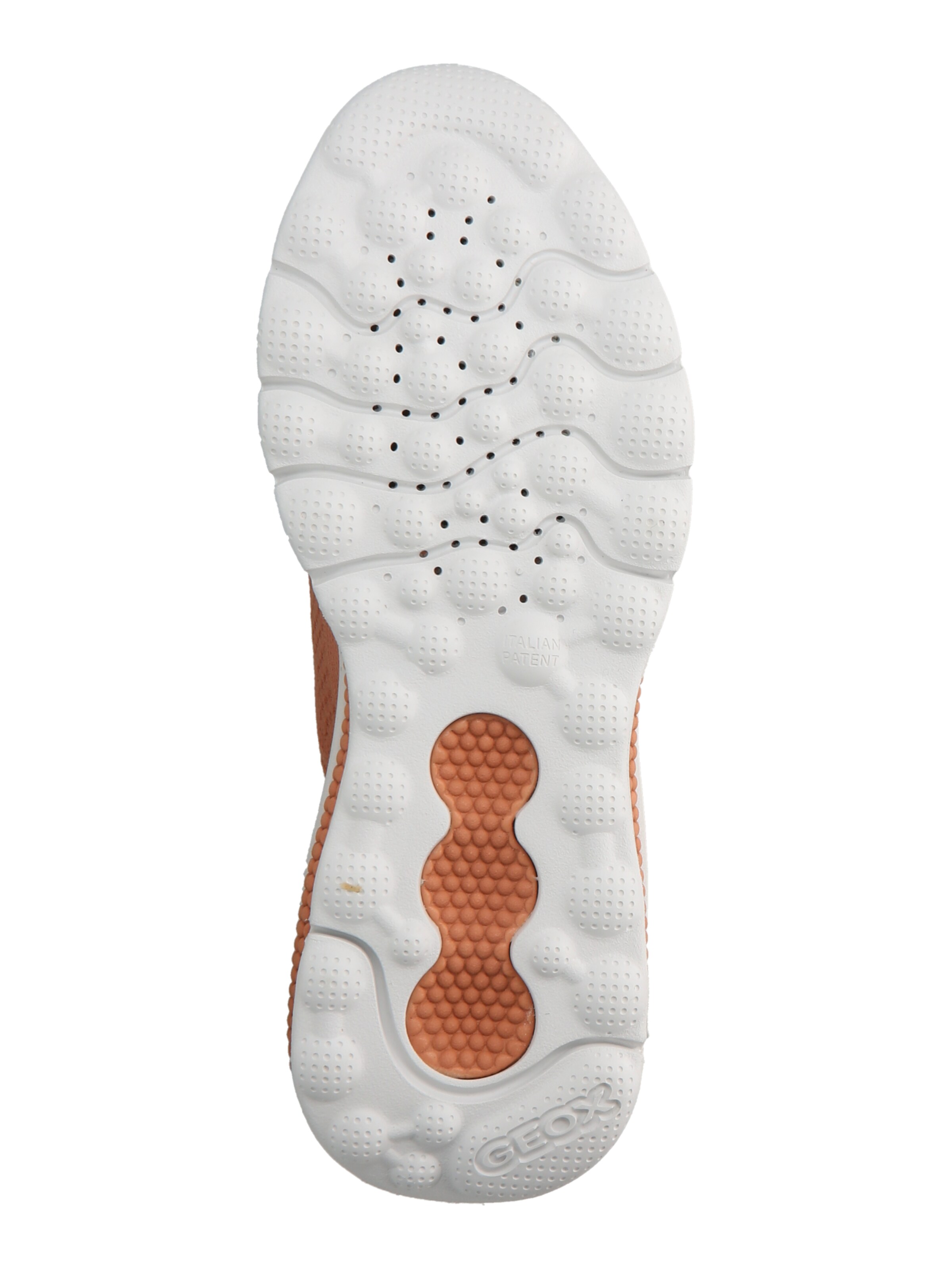 GEOX Sneaker in Orange