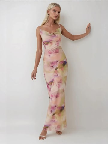 Hiccup Evening Dress in Pink