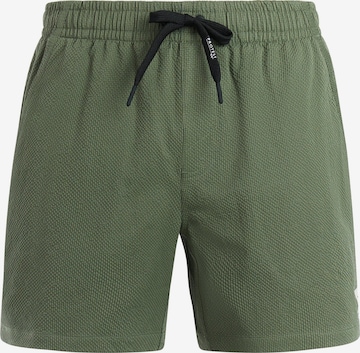 PROTEST Board Shorts 'Wytona' in Green: front