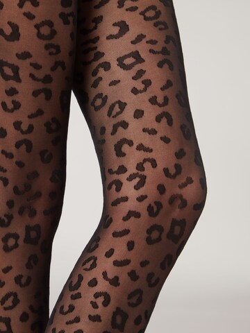 CALZEDONIA Tights in Black: front