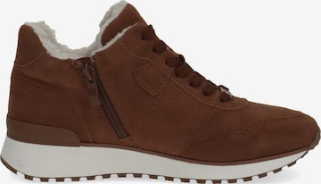 CAPRICE High-Top Sneakers in Brown