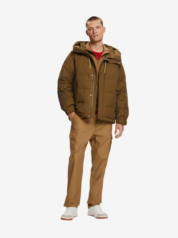 ESPRIT Winter Jacket in Brown