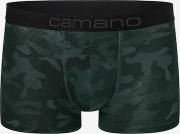 camano Boxer shorts in Green