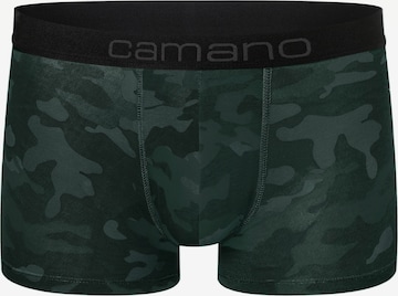 camano Boxershorts in Grün