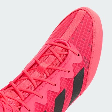 Scarpa sportiva 'Box Hog 4' di ADIDAS PERFORMANCE in rosa