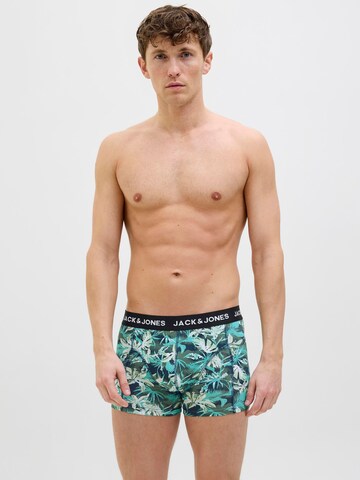 JACK & JONES Boxershorts 'JACTASMANIA' in Groen: voorkant