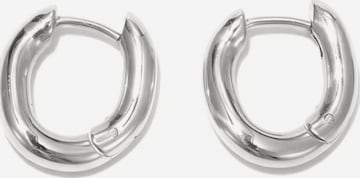 lePelou Earrings 'FLOW' in Silver: front