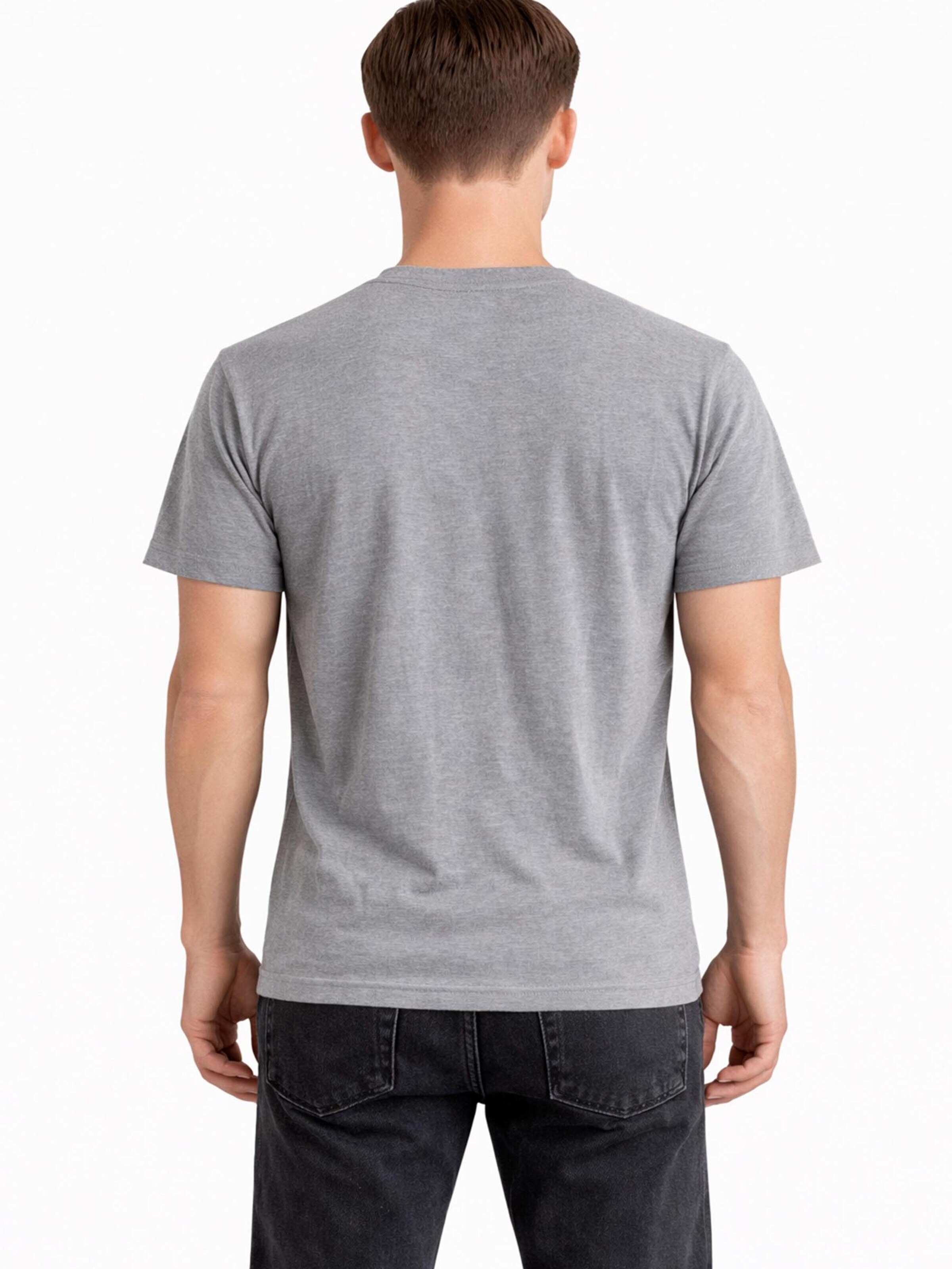 A Question Of (AQO) Shirt '3 Pack Anders Tee' in Grijs